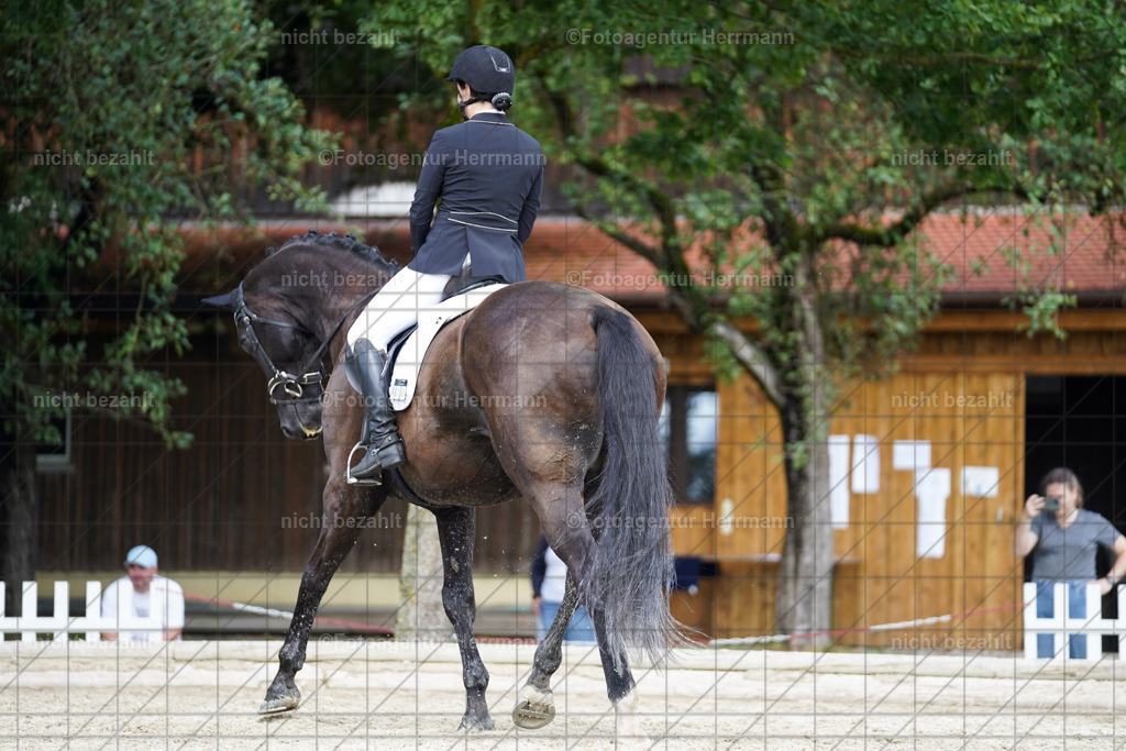 20230826-FAH05450 | Forstinning, 2023, Dressurturnier, Turniersportbilder, Turnierfotografen Bayern, Fotoagentur Herrmann, Reitsportfotografie, Turnierbilder
