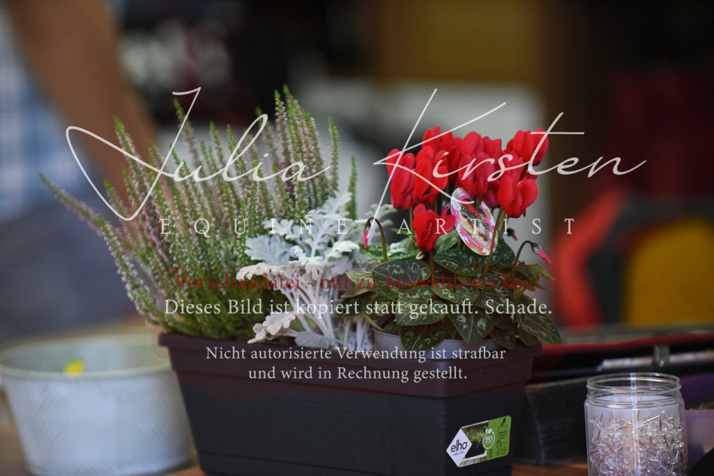 DSC_2345 | Pferde- und Turnierfotografie in Westsachsen. Pferdeportraits, Auftragszeichnungen und intuitive Kunst.