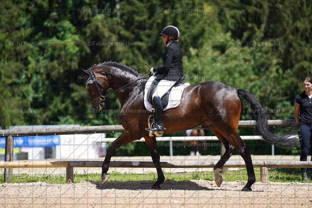 20240705-FAH03433 | Turnierbilder von Grafing, Reitsportbilder, Turnierfotos, Turnierfotografen Bayern, Pferdefotograf, Fotoagentur Herrmann