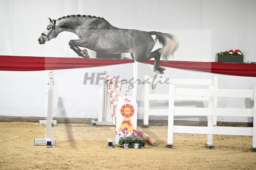 Kat-Nr. 28 v. Cornet de Semilly_ZG Nahm_63220846 | hf-fotografie - Realisiert mit Pictrs.com