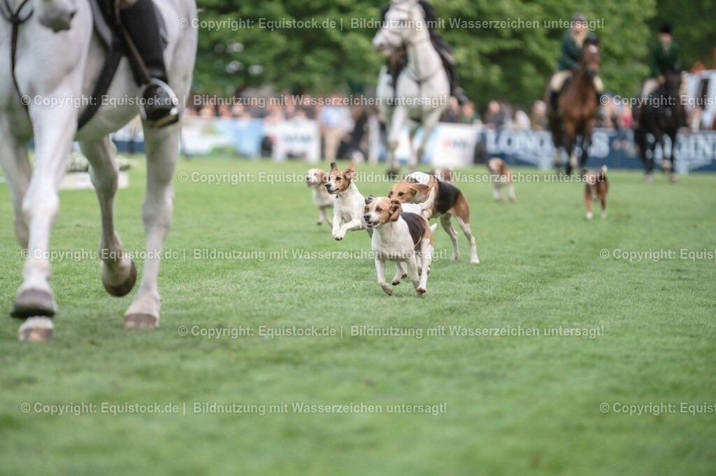 20230526_Pferdenacht_0528 | equistock