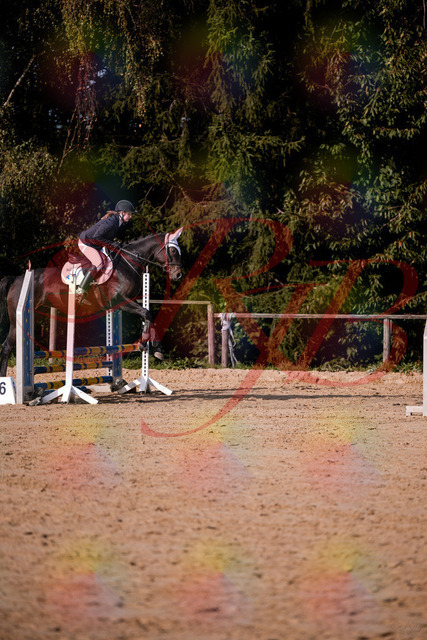 2026_10_03_Siefer-Hof_153615_Z81_48906967 | Professionelle Reitsport-, Turnier- und Eventfotografie von Robert Broda. Galerien mit ausgewählten und bearbeiteten Bildern direkt online ansehen und bestellen.