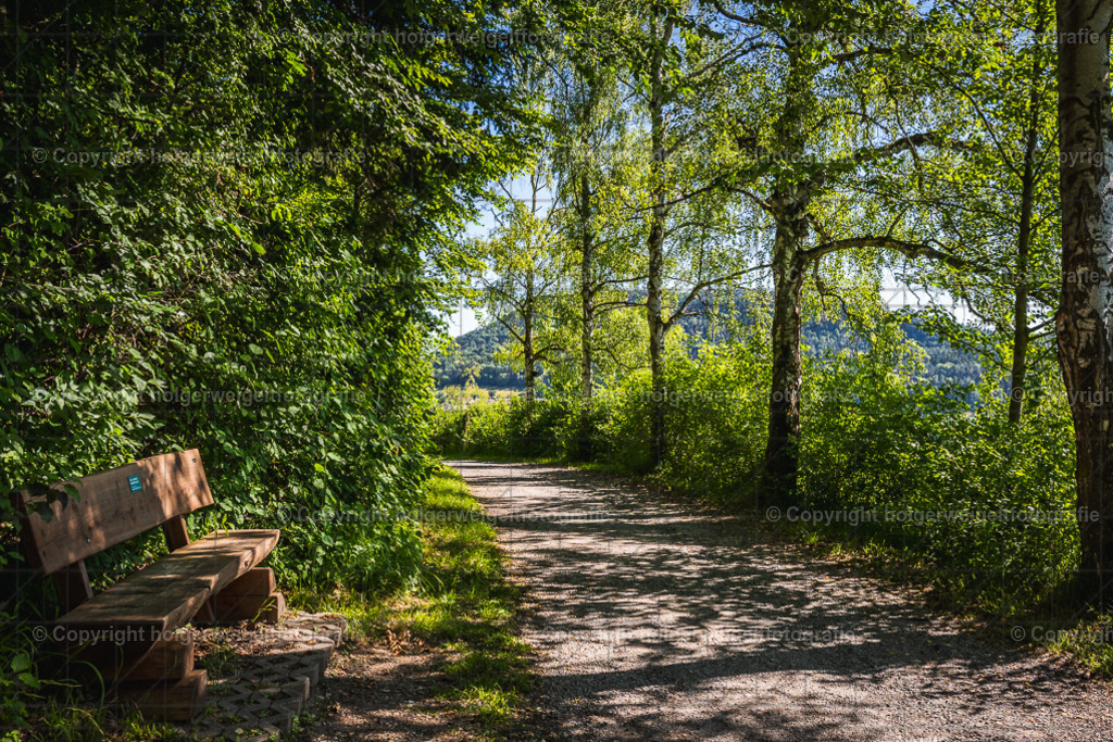 Birkenweg | Das ist das Julimotiv meines neuen Kalenders "Zeitreise durch Heilbad Heiligenstadt- Die 1960er und Heute" - Realisiert mit Pictrs.com