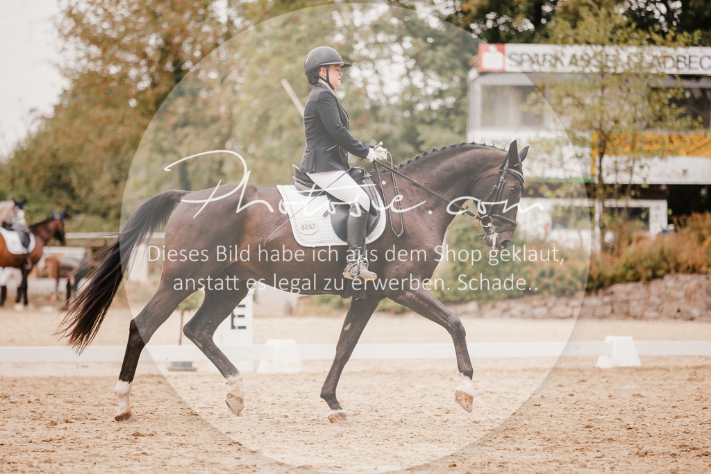3I6A5976 | Stimmungsvolle Portraits und Reitsportfotografie im Ruhrgebiet und im Münsterland.

Pferdefotografie, Hundefotografie, Tierfotografie, Reportagen, Portraits von Tier und Mensch, Turnierfotografie in Bochum, Recklinghausen, Marl, Haltern am See, Dülmen.. - Realisiert mit Pictrs.com