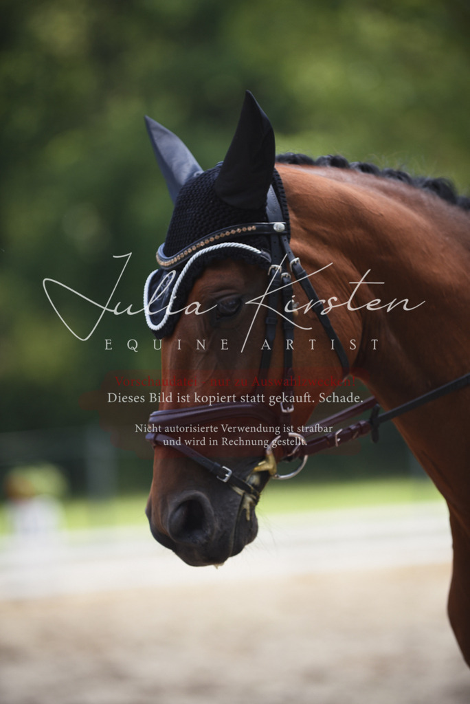 DSC_1376 | Pferde- und Turnierfotografie in Westsachsen. Pferdeportraits, Auftragszeichnungen und intuitive Kunst.
