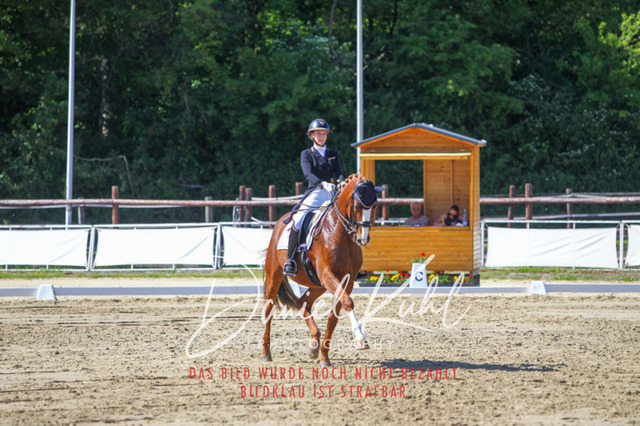 DKP42478 | Turniersportfotografie; Pferdefotografie; Dressurfotografie