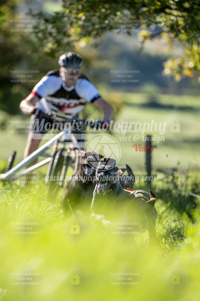 MompixPhotography_20TSB_E3_Kart-3 | PayLife
