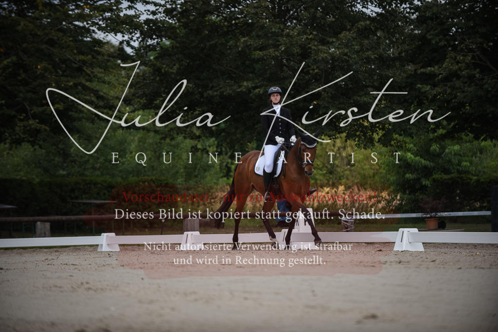 DSC_7961 | Pferde- und Turnierfotografie in Westsachsen. Pferdeportraits, Auftragszeichnungen und intuitive Kunst.