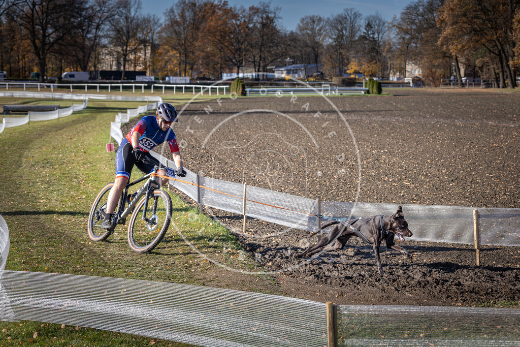 CaniXpix_DV3A7191 | Hundefotografie, Tierfotograf, Pfotenfotografie, Fotoshooting Hund, Hunde Portrait, Hundesport, Hundeportraits, Heideshooting, Hunde, Sportfotograf, Hundefotograf, Turnierhundsport, THS,  - Realisiert mit Pictrs.com