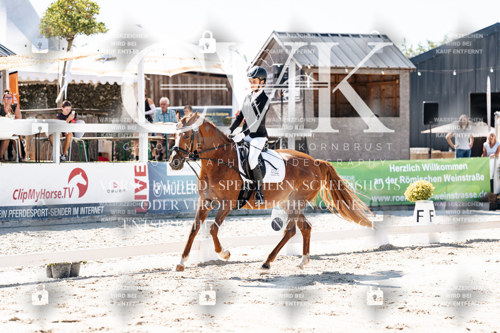 CK902308 | Turnierfotografie Pferdefotografie Trier Rheinland-Pfalz Pferdesport Reitsport Tierfotografie Sportfotografie Pferdevideo Pferdevideografie Equestrianvideography equestrianphotography  - Realisiert mit Pictrs.com