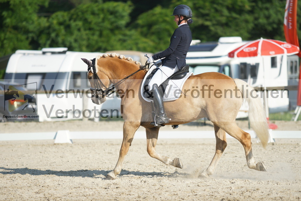 DSC02630 | equestrian-live-com