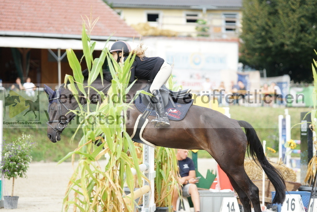 DSC03700 | equestrian-live-com