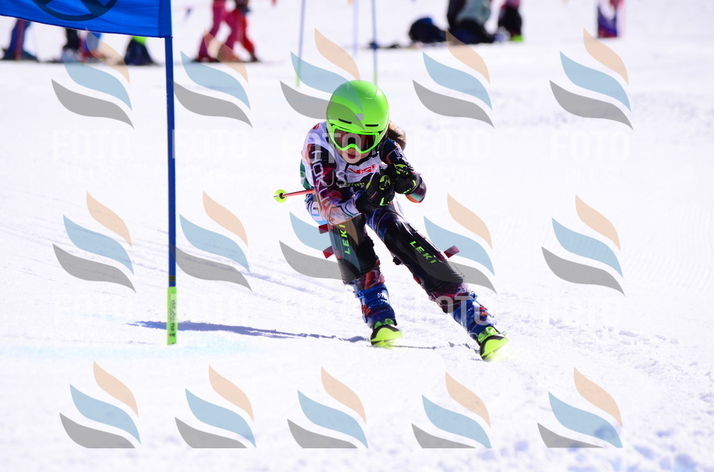 C5736 | holidayphoto