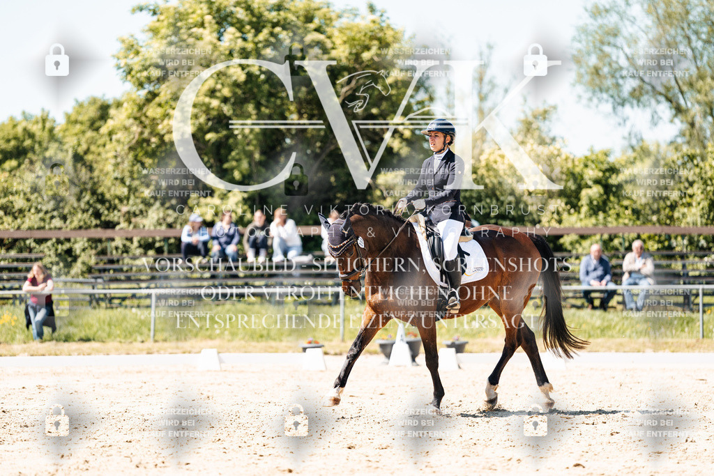 CK905609 | Turnierfotografie Pferdefotografie Trier Rheinland-Pfalz Pferdesport Reitsport Tierfotografie Sportfotografie Pferdevideo Pferdevideografie Equestrianvideography equestrianphotography  - Realisiert mit Pictrs.com