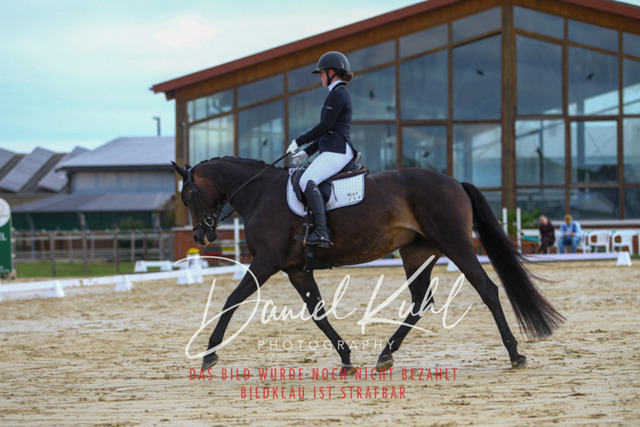 DKP43612 | Turniersportfotografie; Pferdefotografie; Dressurfotografie