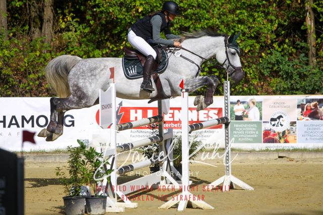 DKP42398 | Turniersportfotografie; Pferdefotografie; Dressurfotografie