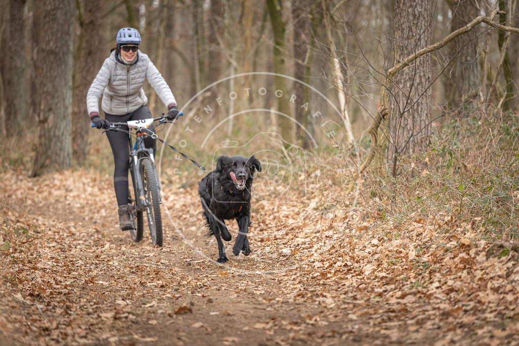 Pfotenfotografie_DV3A0242 | Hundefotografie, Tierfotograf, Pfotenfotografie, Fotoshooting Hund, Hunde Portrait, Hundesport, Hundeportraits, Heideshooting, Hunde, Sportfotograf, Hundefotograf, Turnierhundsport, THS,  - Realisiert mit Pictrs.com