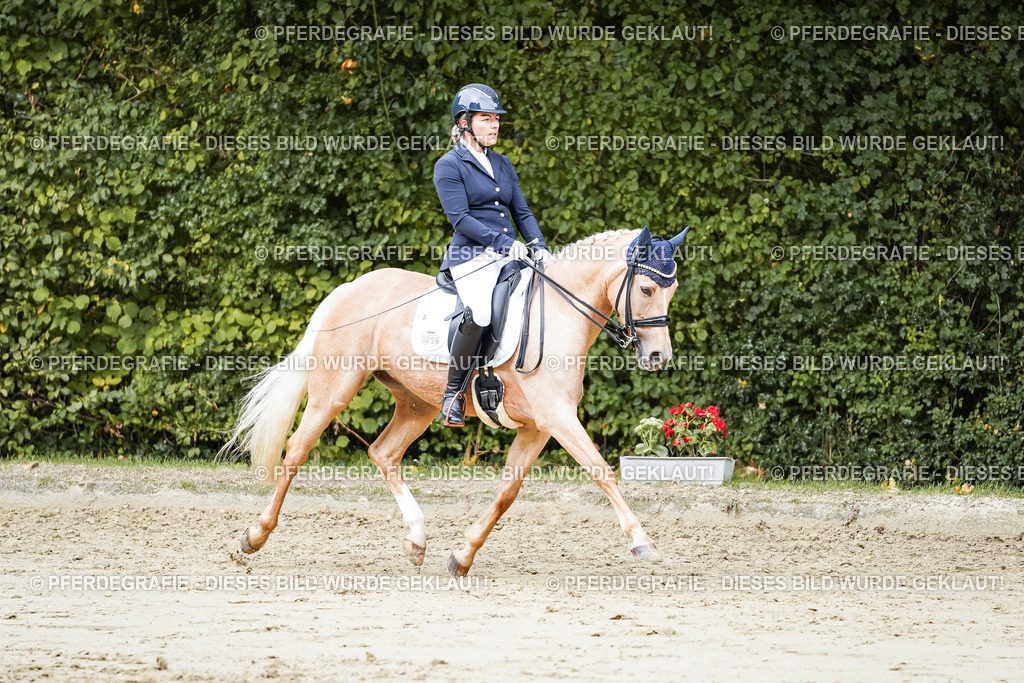 DSC04797 | Pferdegrafie