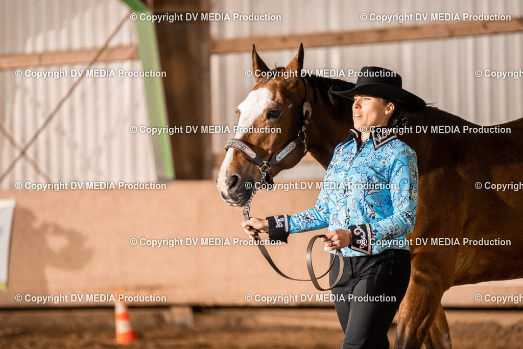 BAL01225 | dv-media-shop - Realisiert mit Pictrs.com