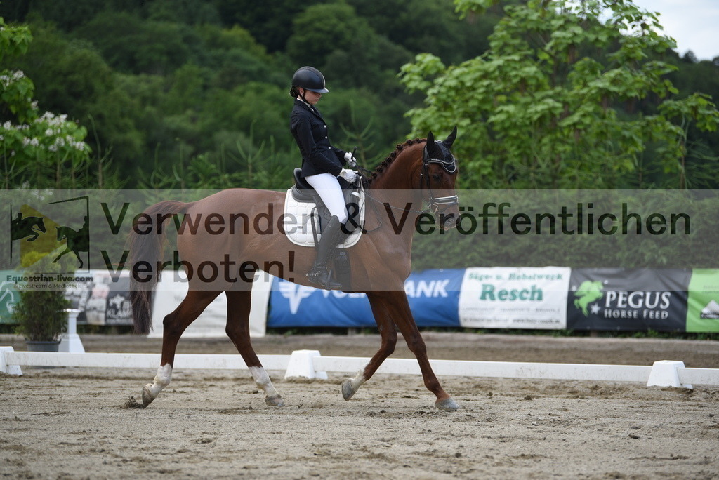 DSC_6561 | equestrian-live-com
