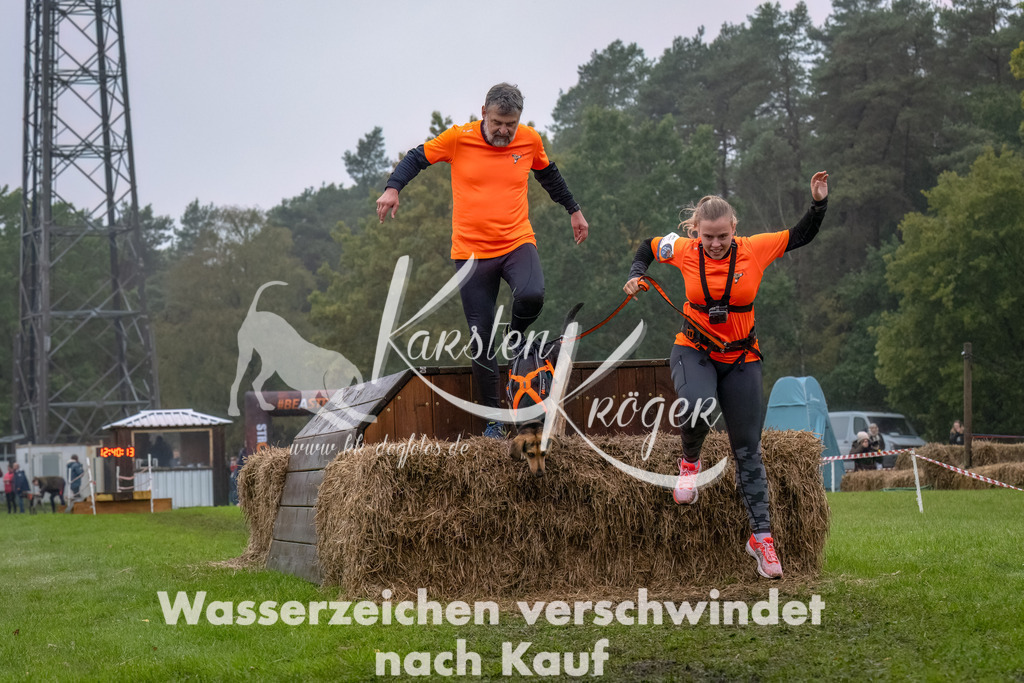 1241--2 | kk-dogfotos