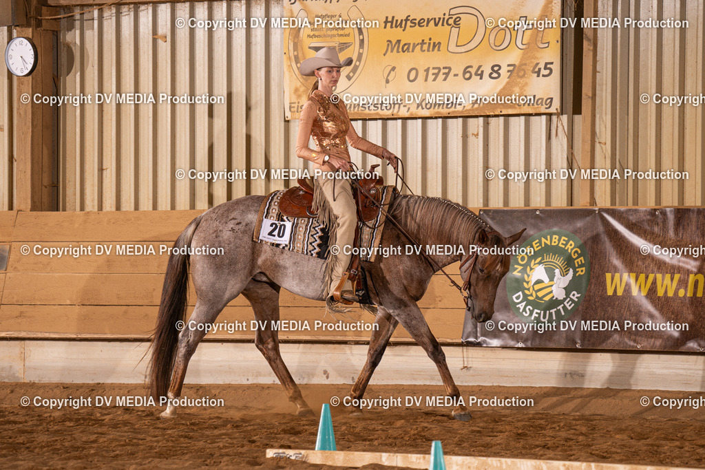 NID00822 | dv-media-shop - Realisiert mit Pictrs.com