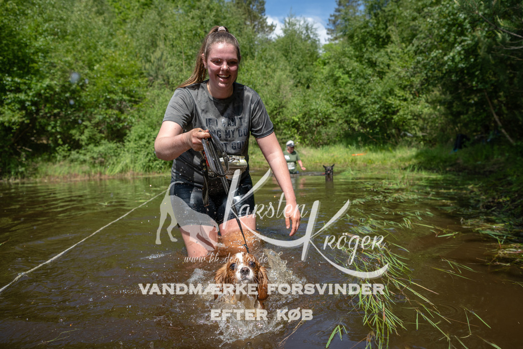 1149DKK991247 | kk-dogfotos