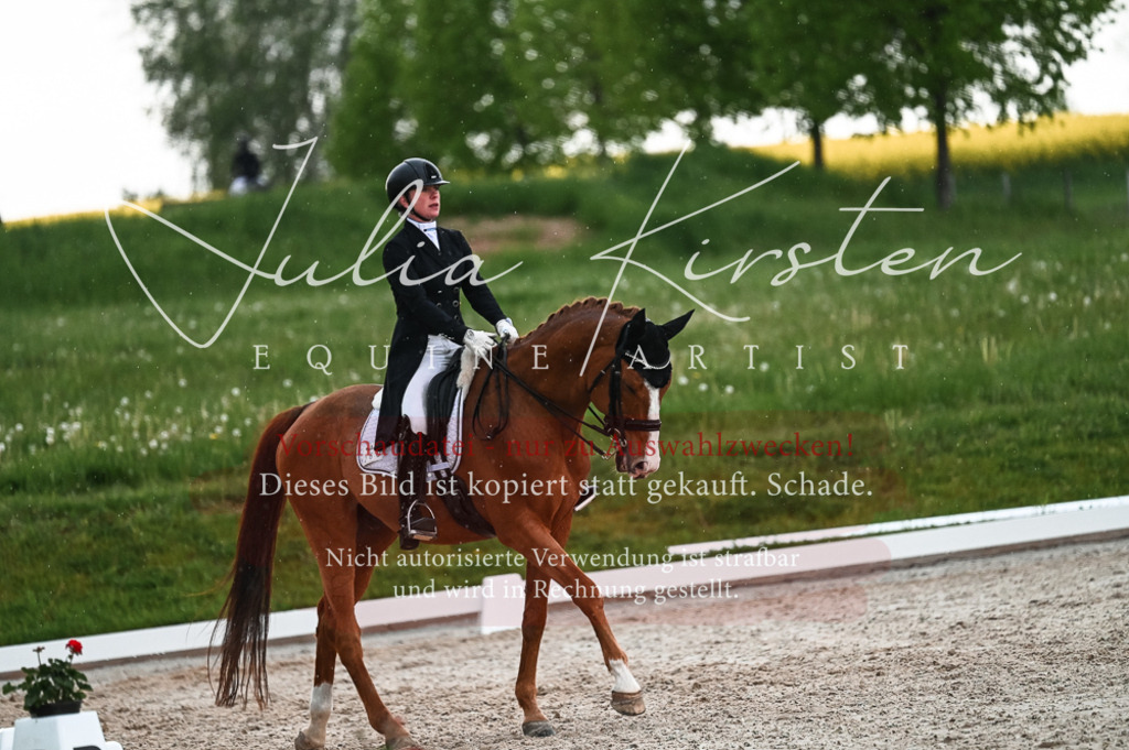 20230514_JK-Röhrsdorf-21-651 | Pferde- und Turnierfotografie in Westsachsen. Pferdeportraits, Auftragszeichnungen und intuitive Kunst.