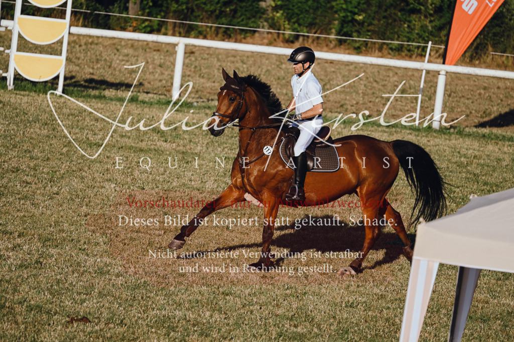 DSC_3266 | Pferde- und Turnierfotografie in Westsachsen. Pferdeportraits, Auftragszeichnungen und intuitive Kunst.