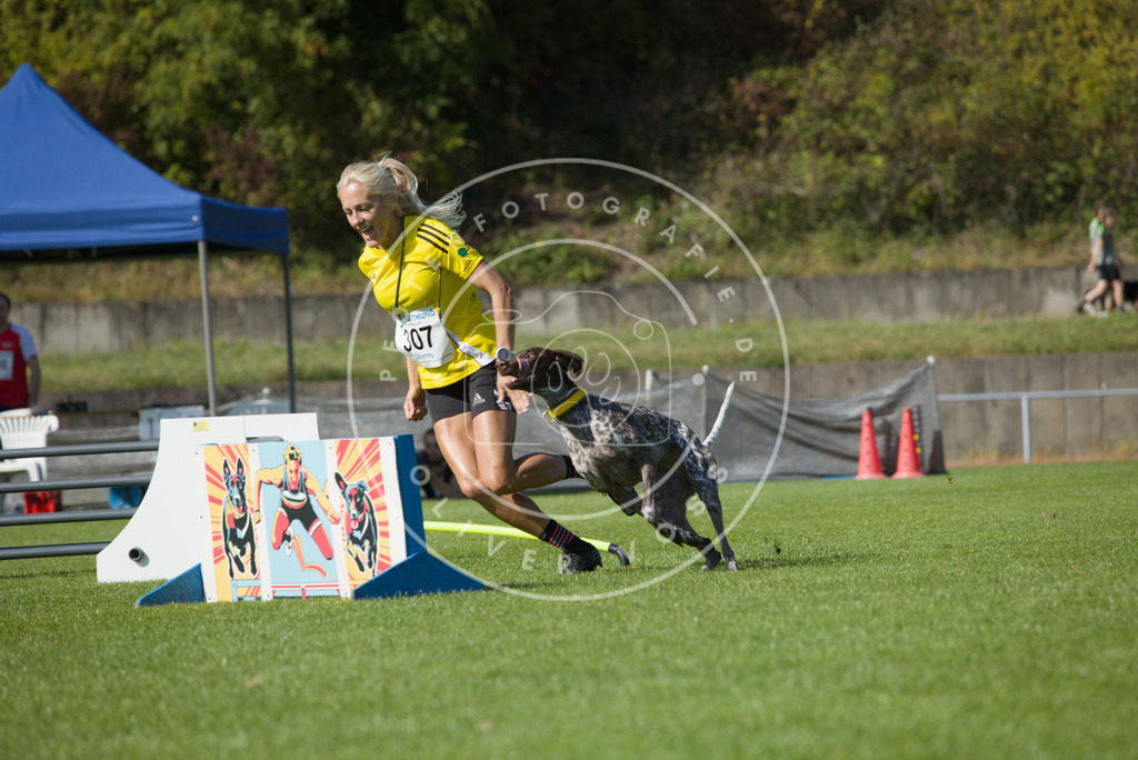 0L8A8219 | Hundefotografie, Tierfotograf, Pfotenfotografie, Fotoshooting Hund, Hunde Portrait, Hundesport, Hundeportraits, Heideshooting, Hunde, Sportfotograf, Hundefotograf, Turnierhundsport, THS,  - Realisiert mit Pictrs.com