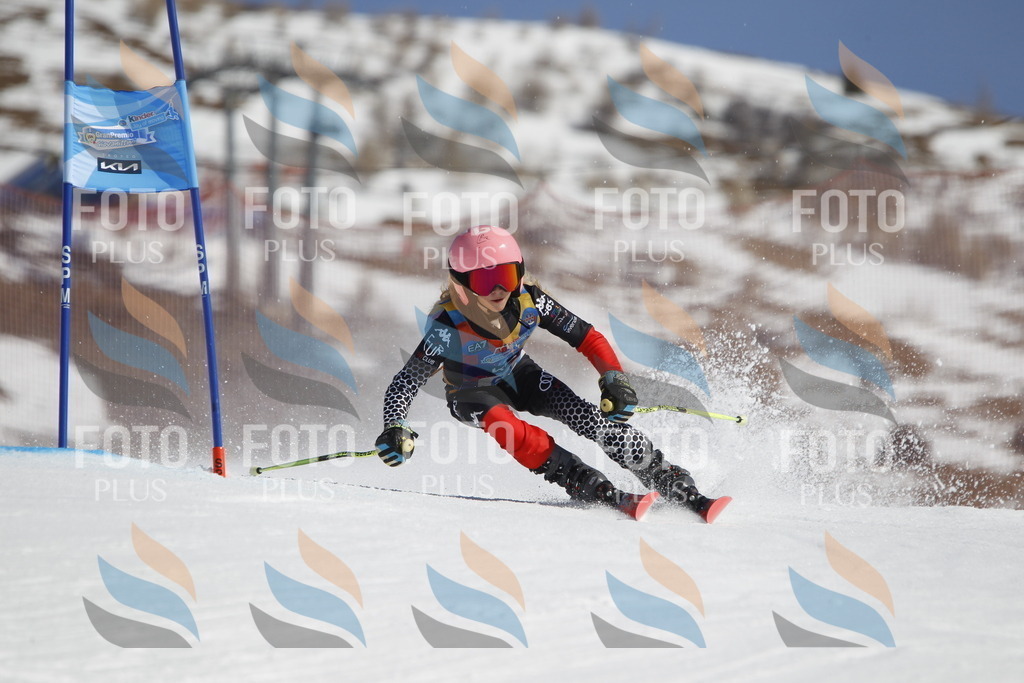 _U3G9623 | holidayphoto