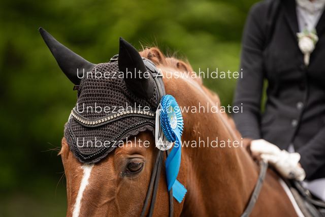 Bad_Meinberg_09861 | saradresslerfotografie - Realisiert mit Pictrs.com
