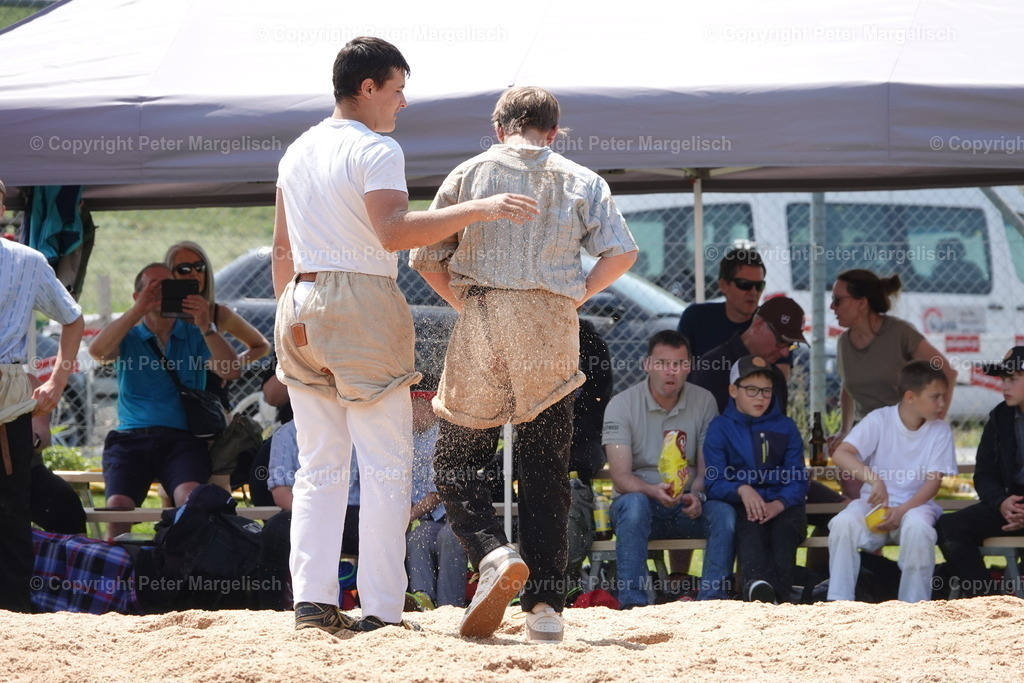 DSC04366 | Schwingen - Realisiert mit Pictrs.com