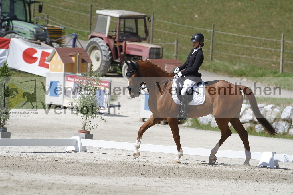 _MG_0500 | equestrian-live-com