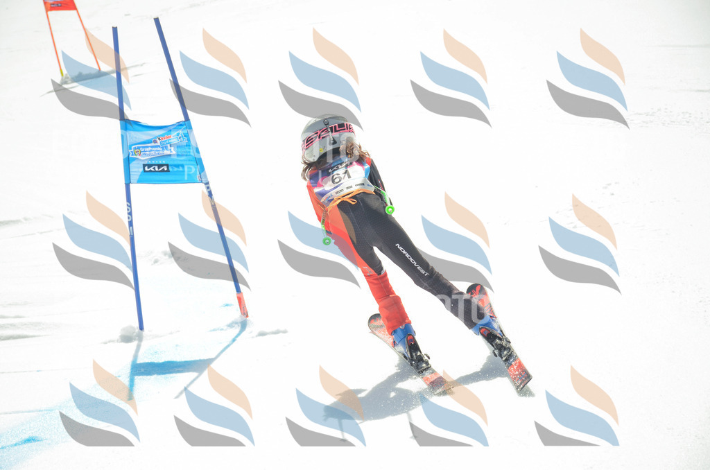 _ELE5332 | holidayphoto