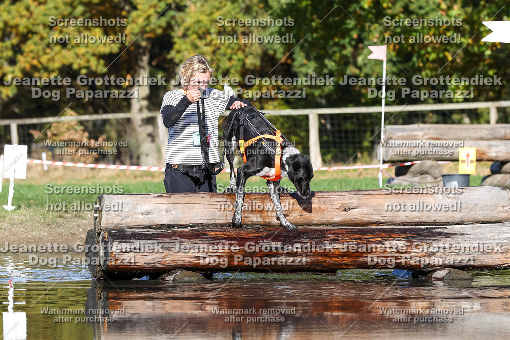 Dog Paparazzi - Strongdog 10-25-8971 | Dog Paparazzi Jeanette Grottendiek Fotografie & Videografie - Realisiert mit Pictrs.com