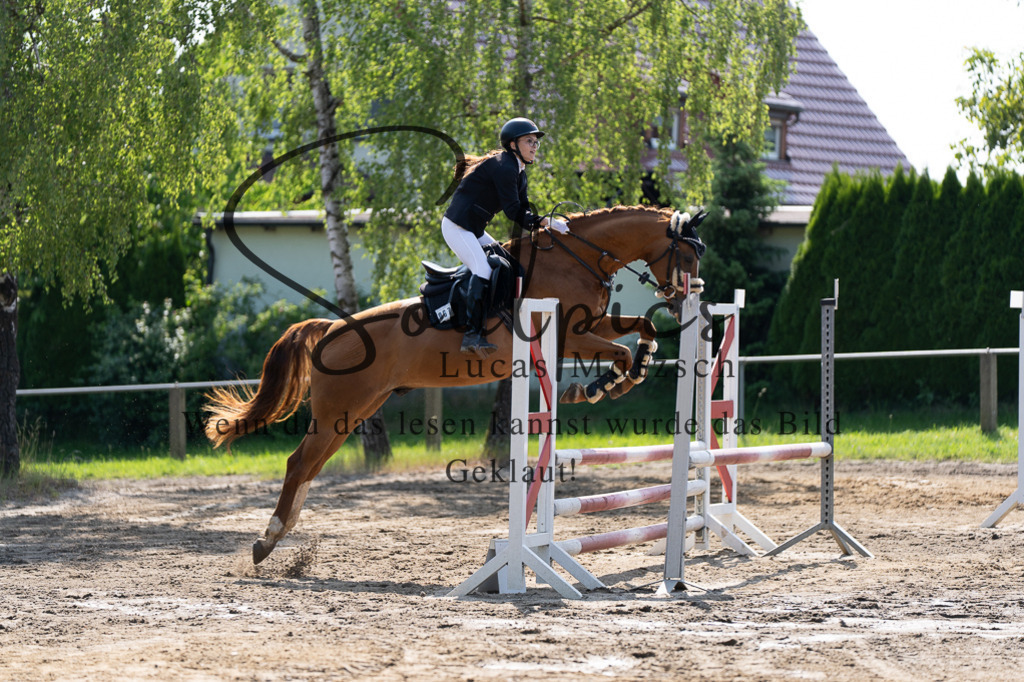 A7507343 | Turnier/Reitfotograf