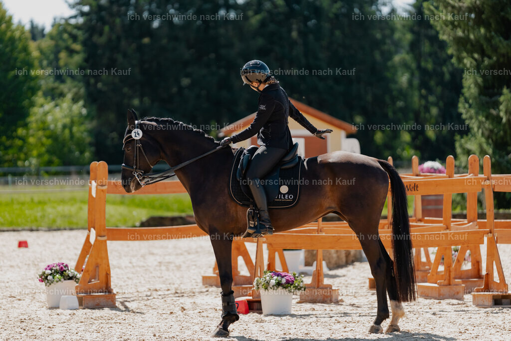 Leonie24_FHC2025-26 | working equitationturnier fotograf videograf stoibphotography marixx film working equitation deutschland reitsport turnierfotografie eventfotografie equestrian events