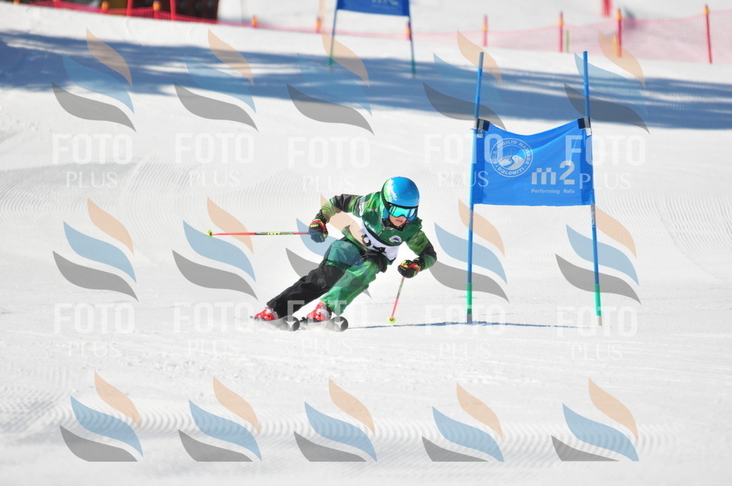 C3123 | holidayphoto