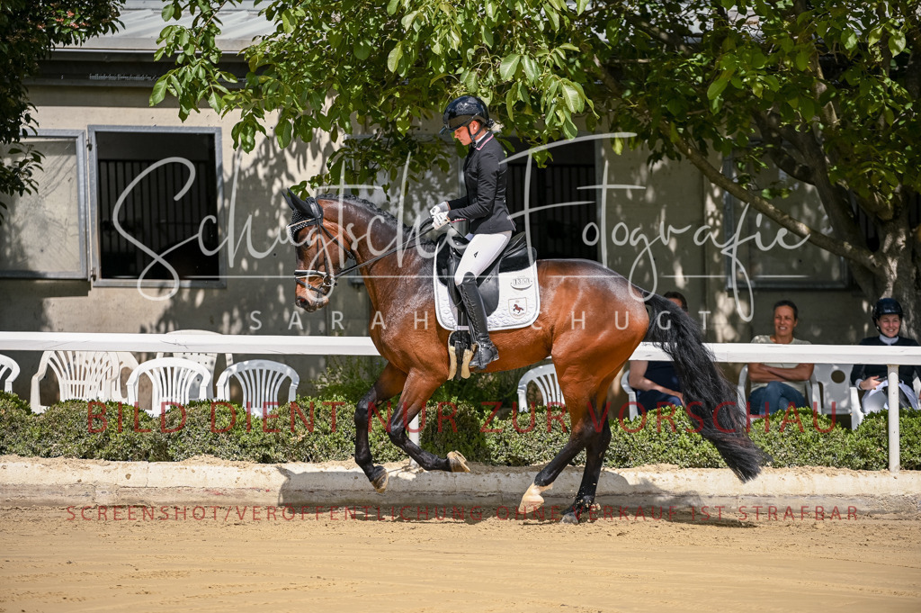 Schugtsche-Aluta25-48.Reitpferfdeprf.-37 | Schugtsche Fotografie - Realisiert mit Pictrs.com