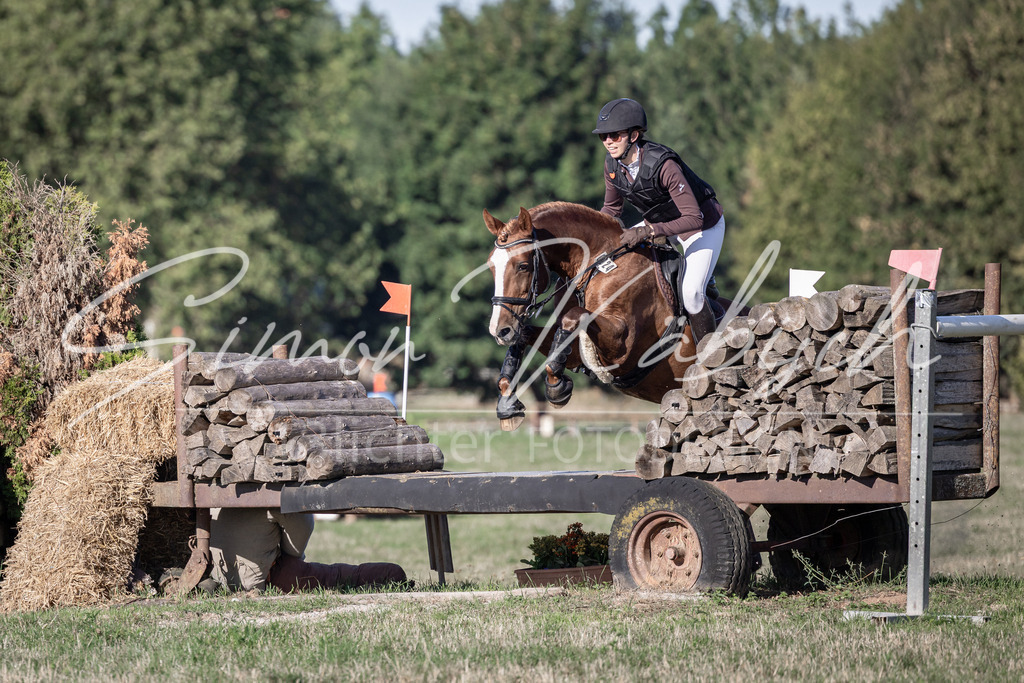 20260906-_3LI1488 | Tierfotografie Pferde, Hunde, Katzen, Haustiere.
Turnierfotografie Reitturniere, Reiten, Springreiten, Dressur in Hanau, dem Main-Kinzig-Kreis und dem Rhein-Main- Gebiet um Frankfurt