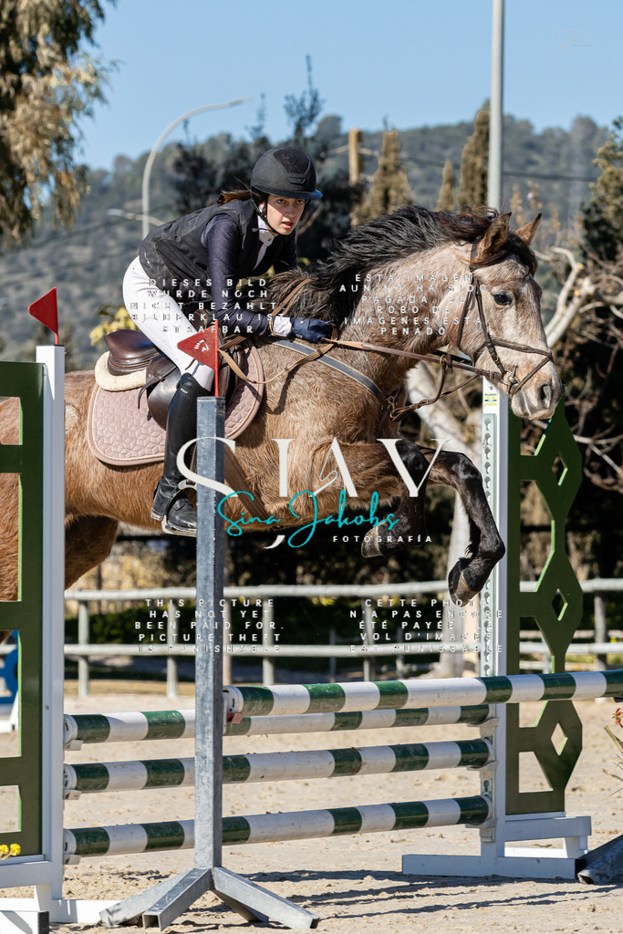 IMG_9463 | s-jay-photography - Realisiert mit Pictrs.com