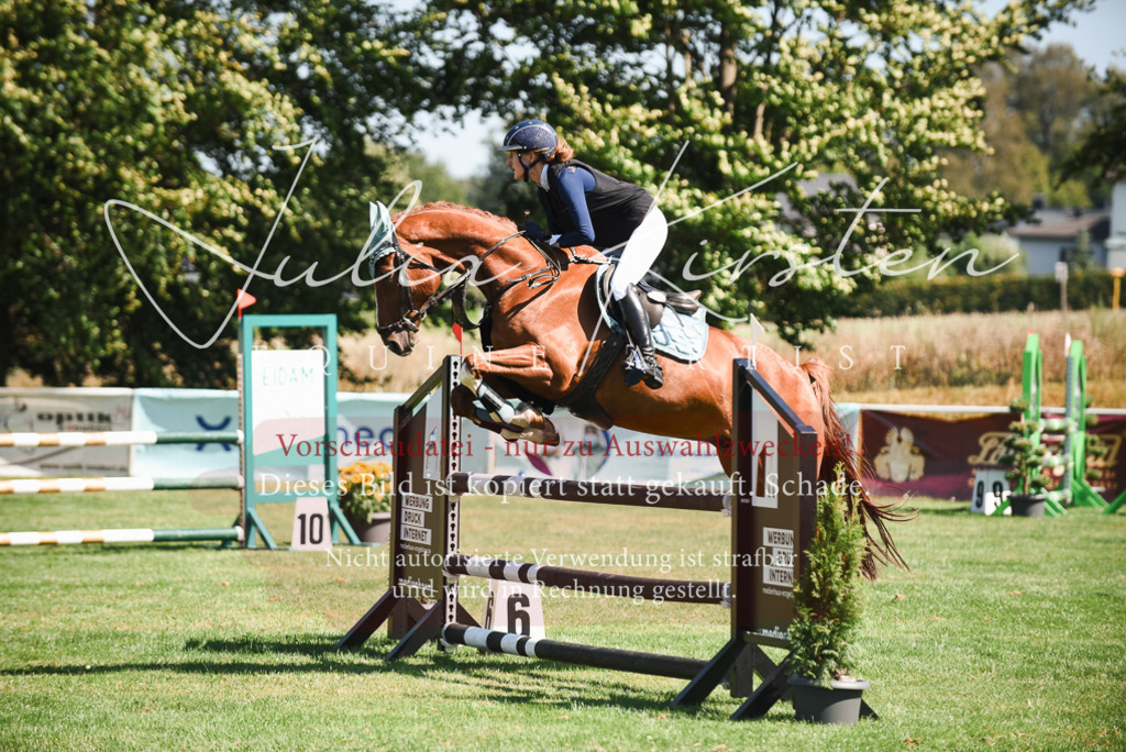 DSC_2850 | Pferde- und Turnierfotografie in Westsachsen. Pferdeportraits, Auftragszeichnungen und intuitive Kunst.