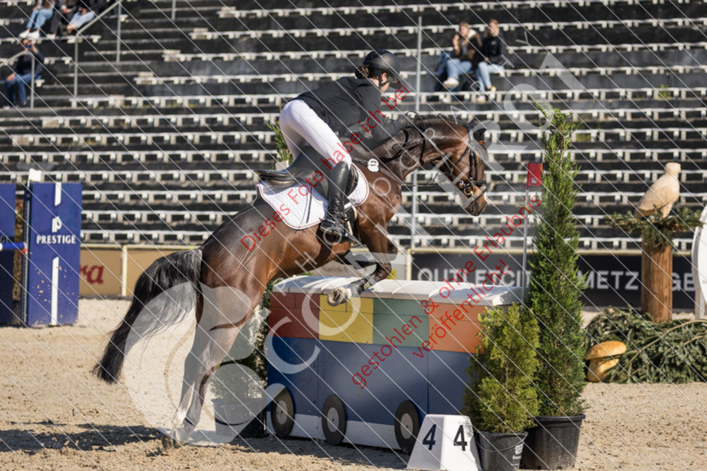 IMG_3392 | Sport-, Event- und Tierfotos in Profiqualität. Einfach auswählen, bestellen und herunterladen. Dein Moment – perfekt festgehalten.