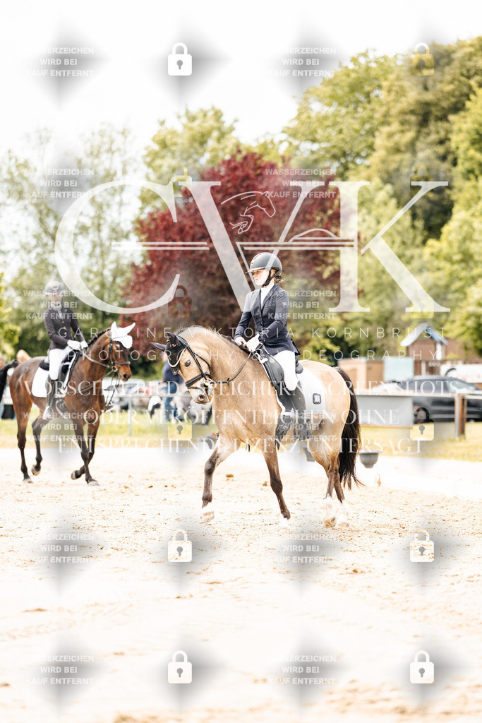 CK902882 | Turnierfotografie Pferdefotografie Trier Rheinland-Pfalz Pferdesport Reitsport Tierfotografie Sportfotografie Pferdevideo Pferdevideografie Equestrianvideography equestrianphotography  - Realisiert mit Pictrs.com