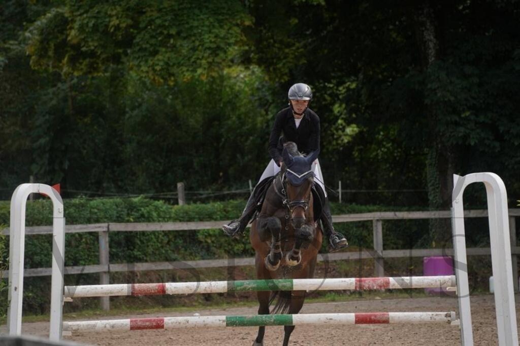 rveinoedsonntag (1023) | d.tail Visions - Shop - Realisiert mit Pictrs.com