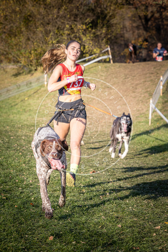 CaniXpix_0L8A9820 | Hundefotografie, Tierfotograf, Pfotenfotografie, Fotoshooting Hund, Hunde Portrait, Hundesport, Hundeportraits, Heideshooting, Hunde, Sportfotograf, Hundefotograf, Turnierhundsport, THS,  - Realisiert mit Pictrs.com