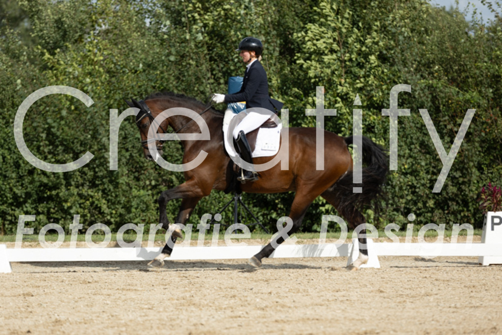 IMG_7040 | Creatify Fotografie