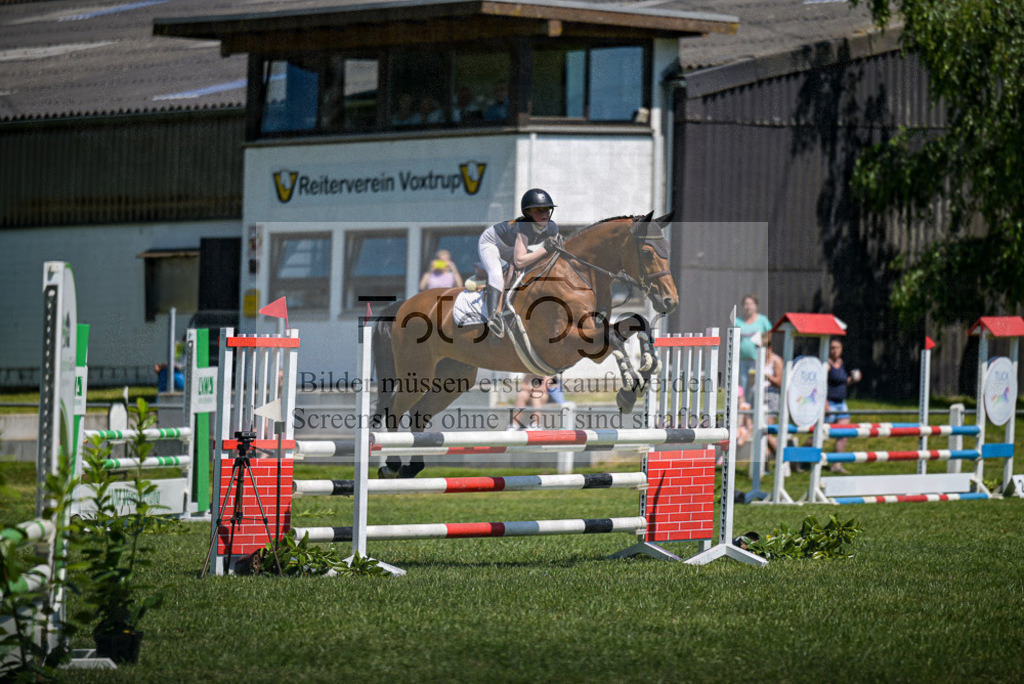Reitturnier Voxtrup | Entdecke hochwertige Reitturnierfotos von Foto Oger. Professionell, emotional und authentisch – jetzt Lieblingsmomente im Shop bestellen. - Realisiert mit Pictrs.com