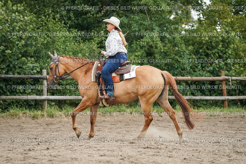 DSC04036 | Pferdegrafie